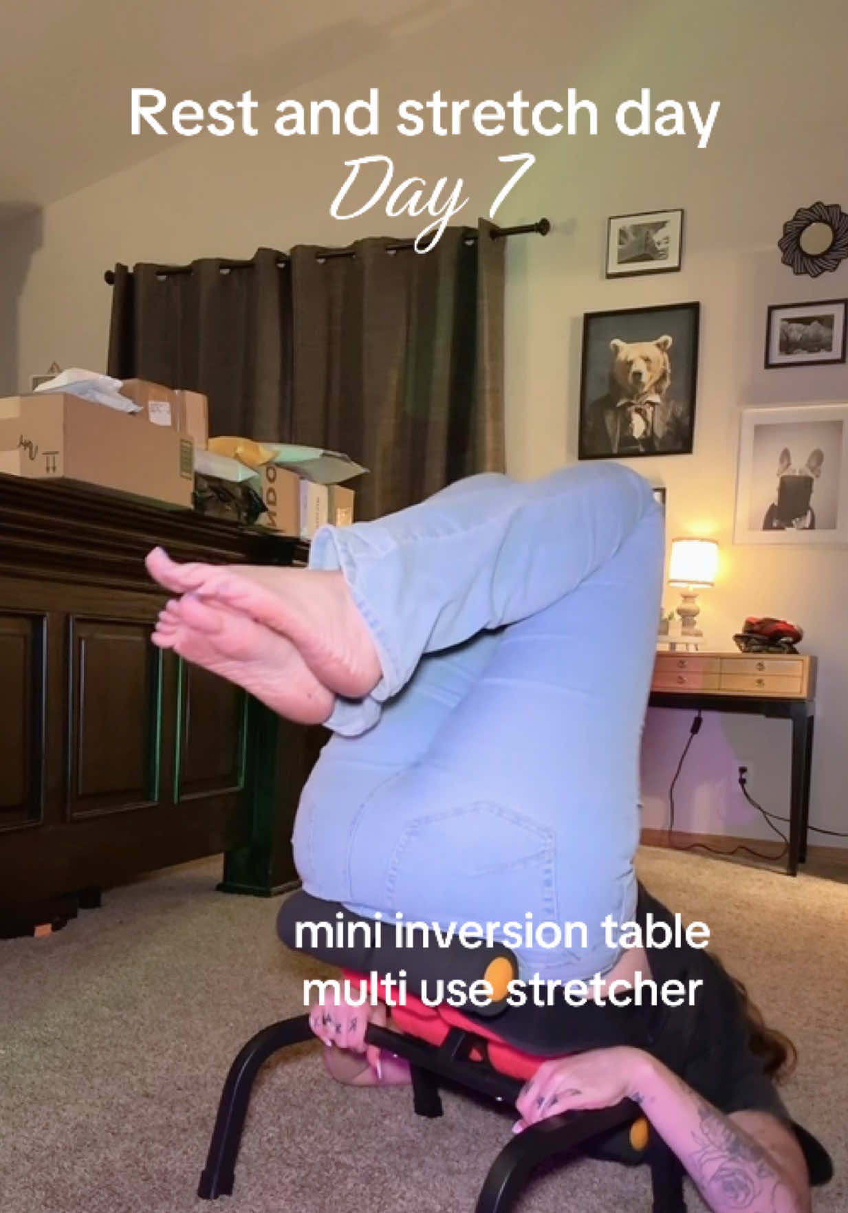 @hausofgesicat
