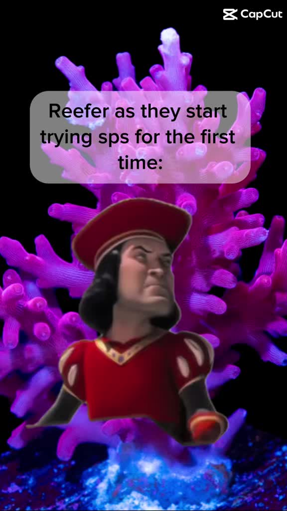 @ReefTok