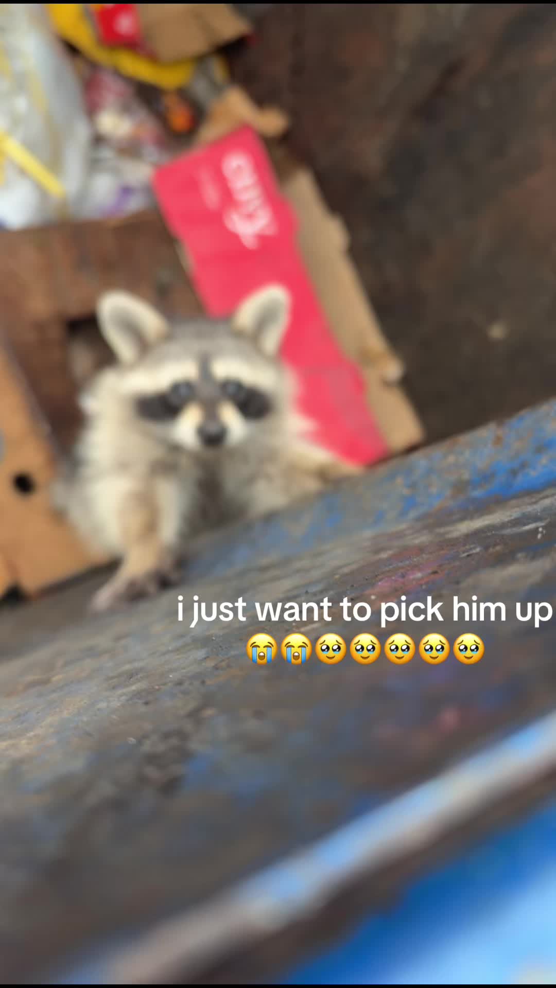@maryyy🍄🧚🌙🐈⬛