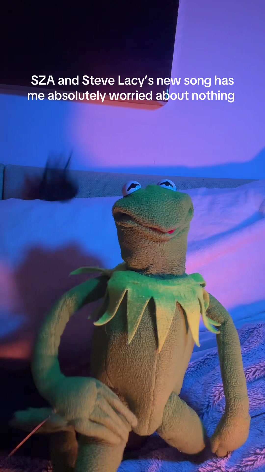 @🐸 Crashout Kermy 🐸