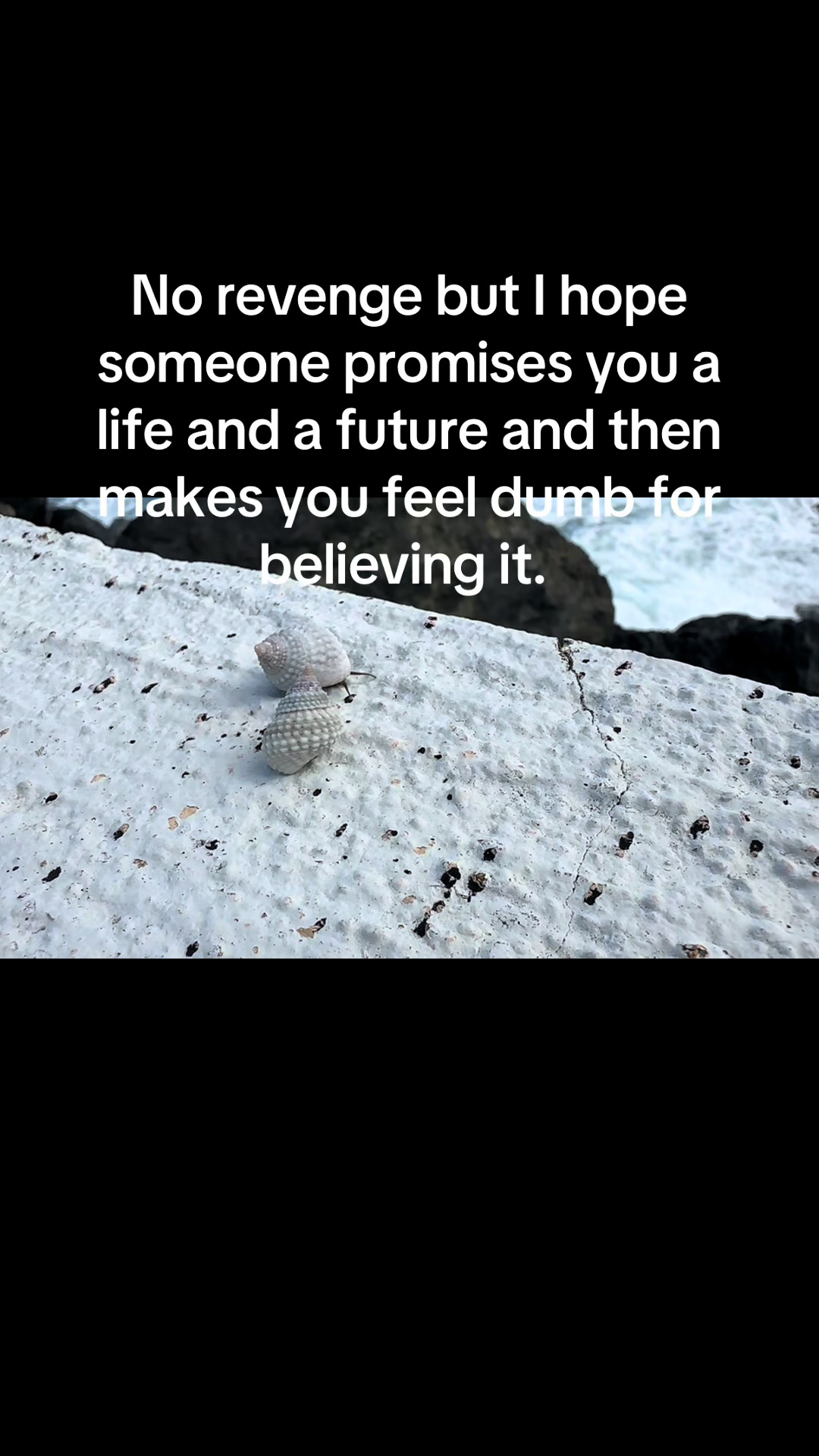 @seaglass1111