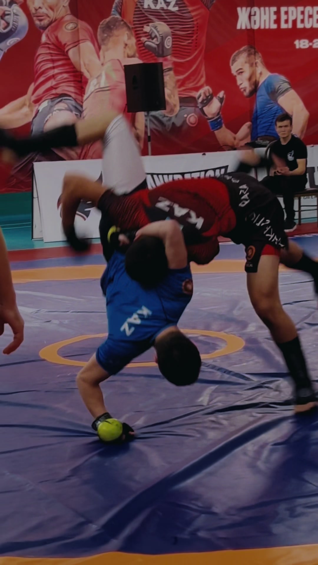 @ALISH MMA