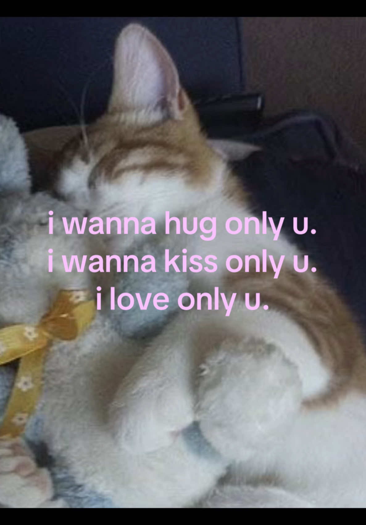 @iseenthisinmydream