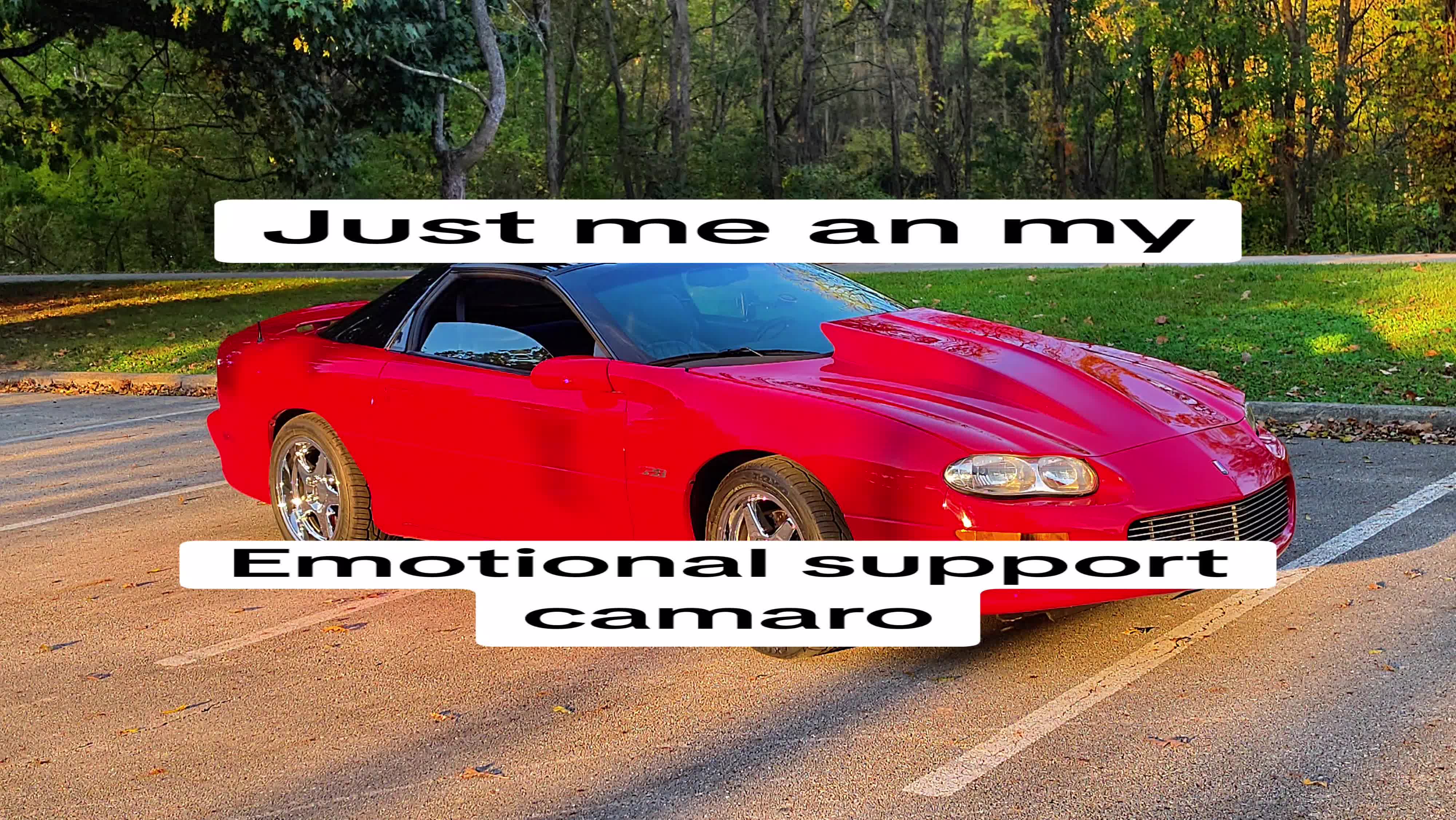 @watchbillywork