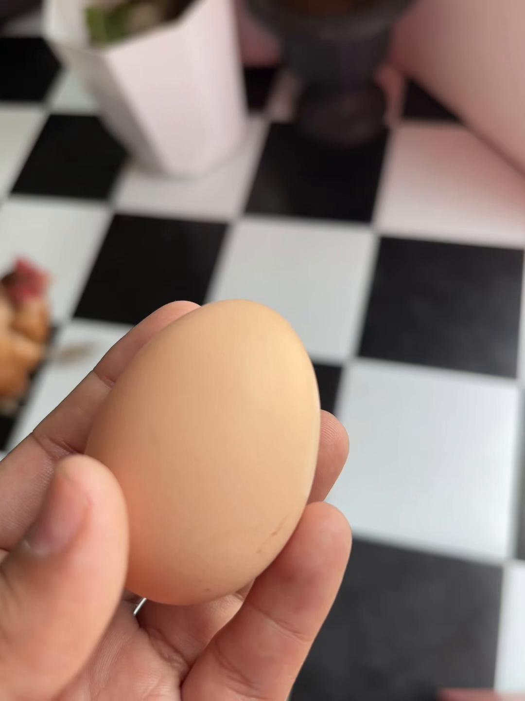 @𝕊𝕚❁ᥫ᭡𝔽𝕝𝕦𝕗𝕗𝕪ℂ𝕠𝕣𝕣𝕒𝕝