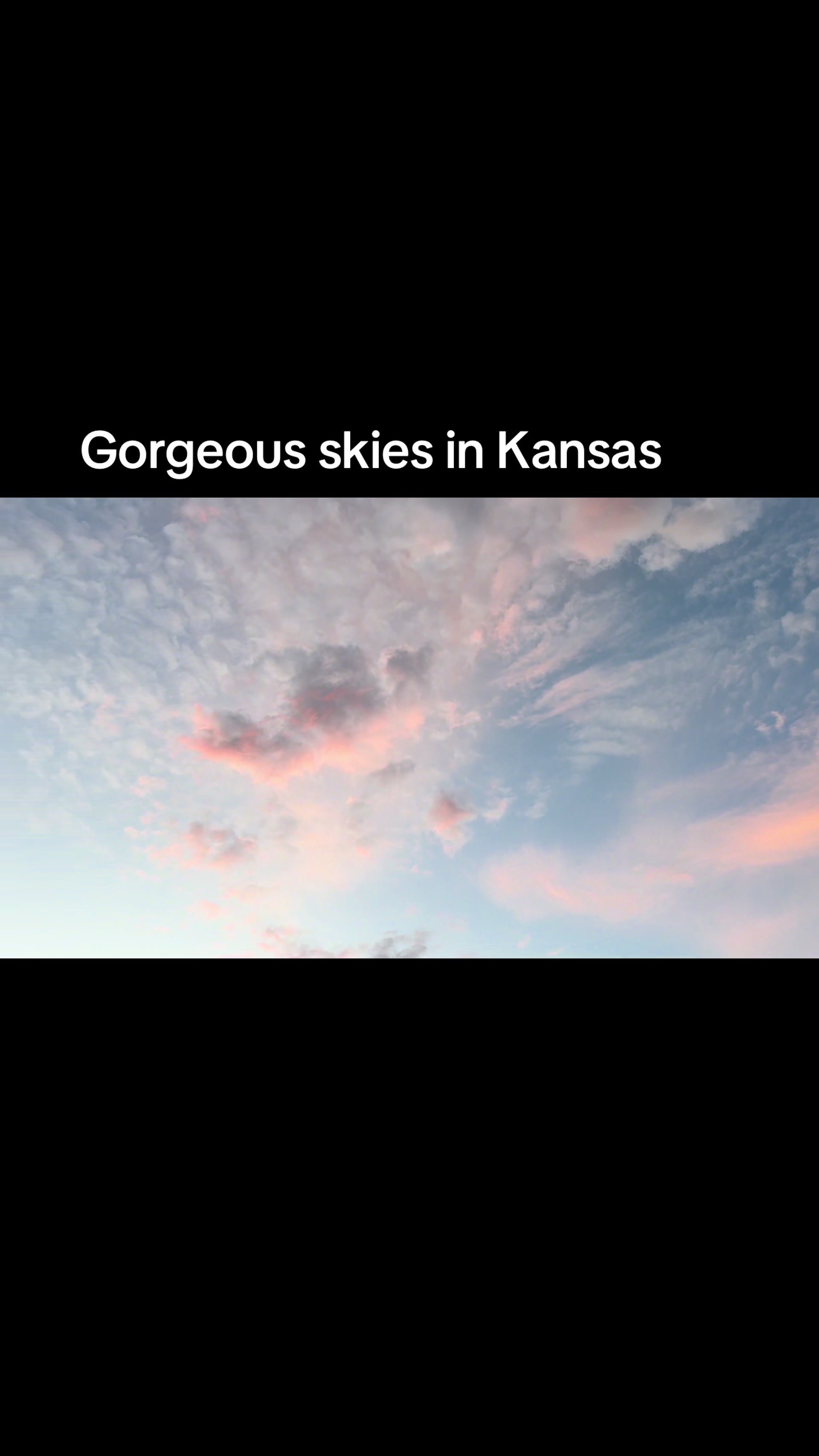 @prairiepiglets