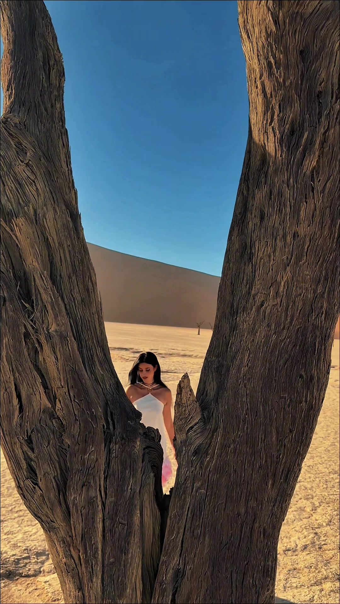 @Sylamc