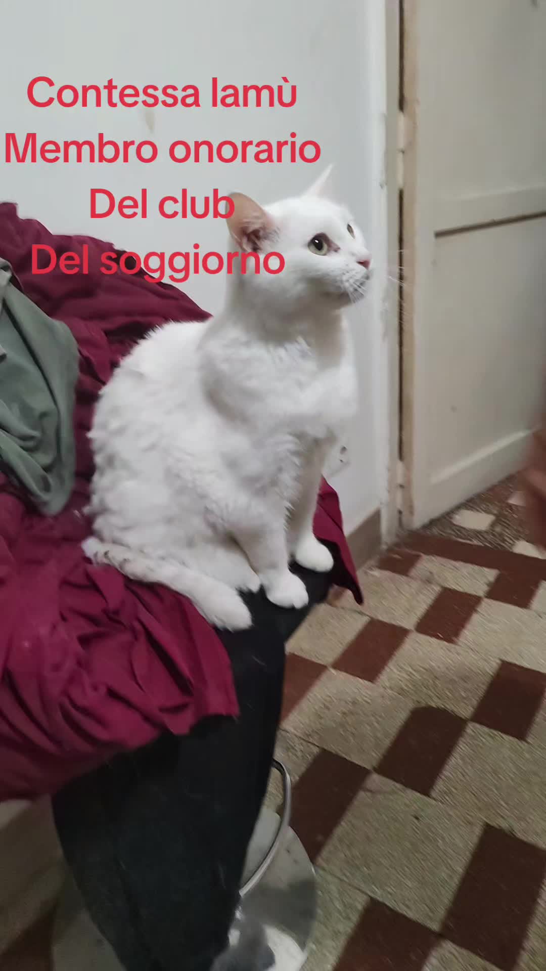 @La vitaccia
