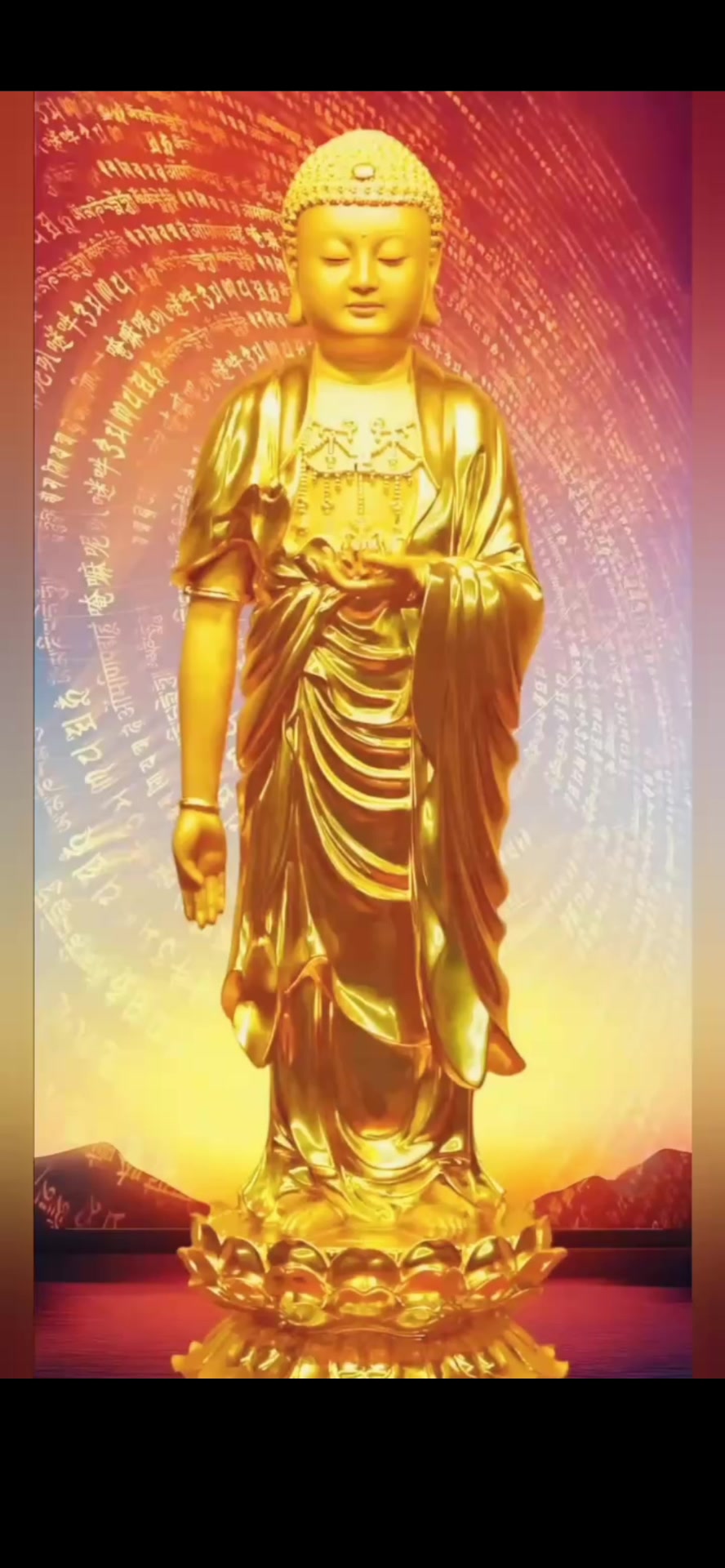 @南無阿彌陀佛🙏🙏🙏
