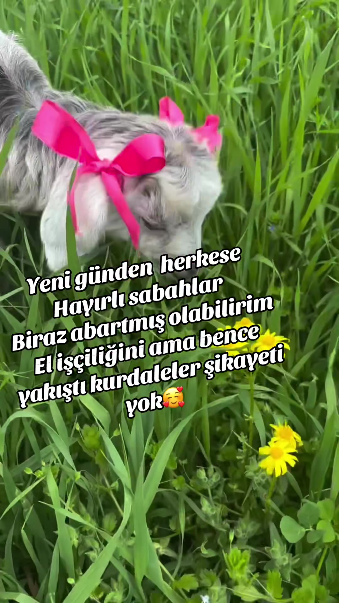 @💙🤍DADAŞ KIZI 25💙🤍