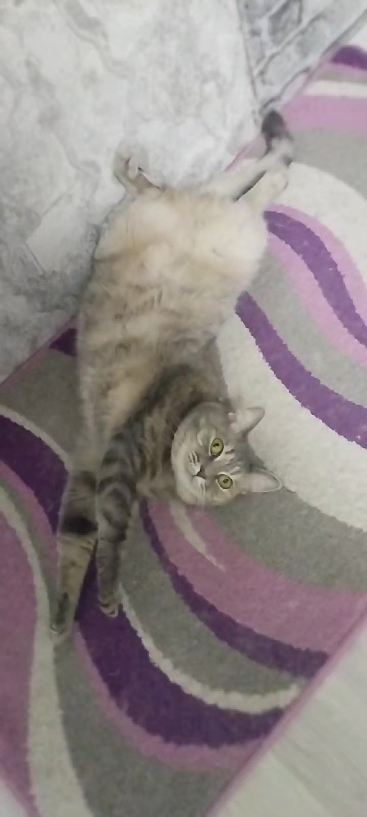@꧁АНЮТА 71꧂НОВИКОВА