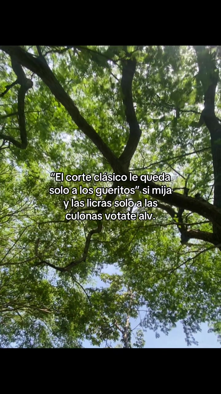 @diegoraymundol2