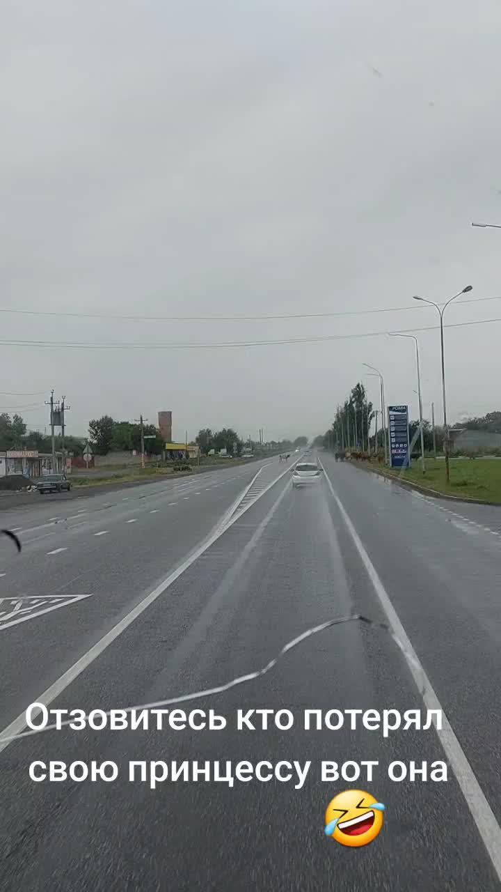 @хазал