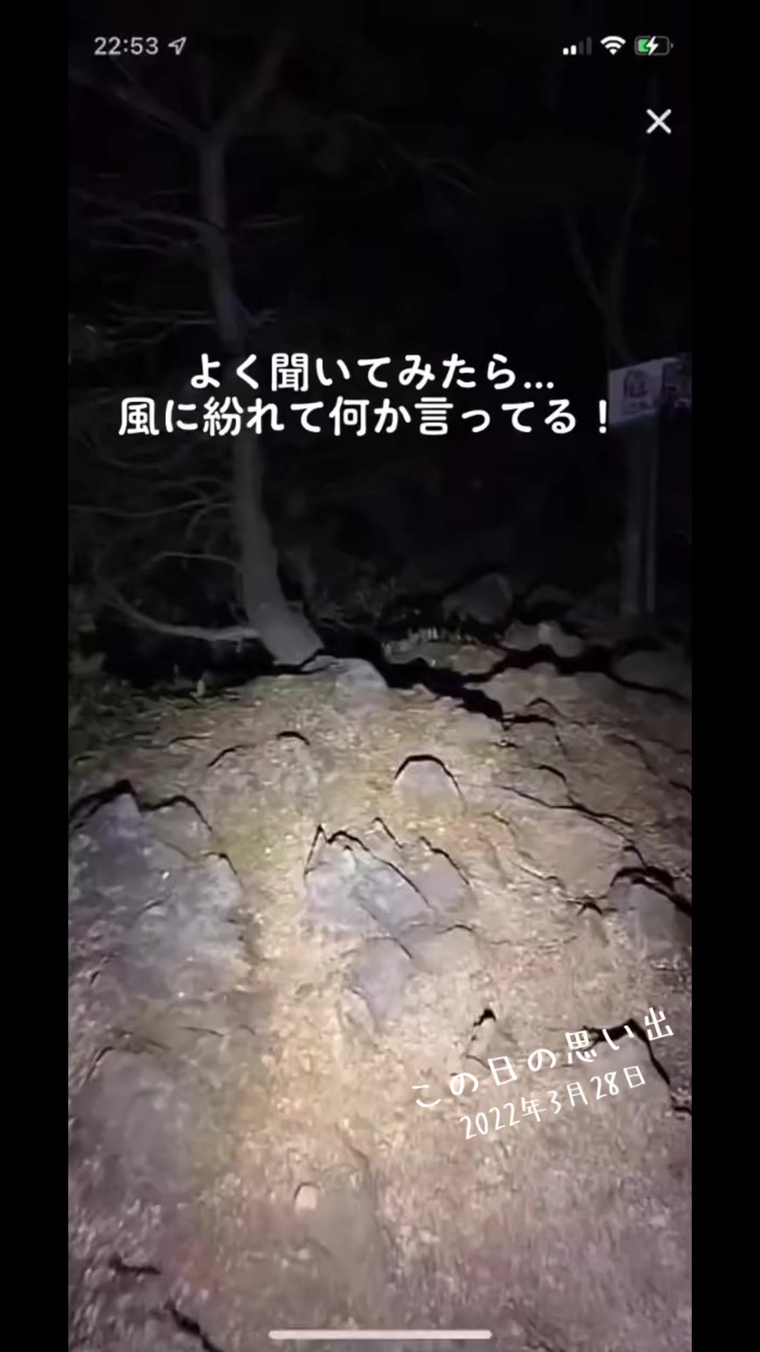 @👻ブレアのとげぴ👻