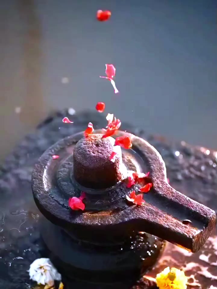 @Ash❤️🩹🕊