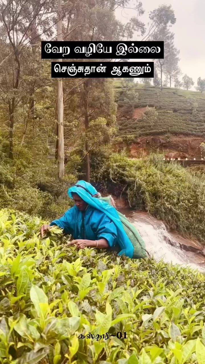 @𝗞𝗔𝗦𝗧𝗛𝗨𝗥𝗜~♡♥♡