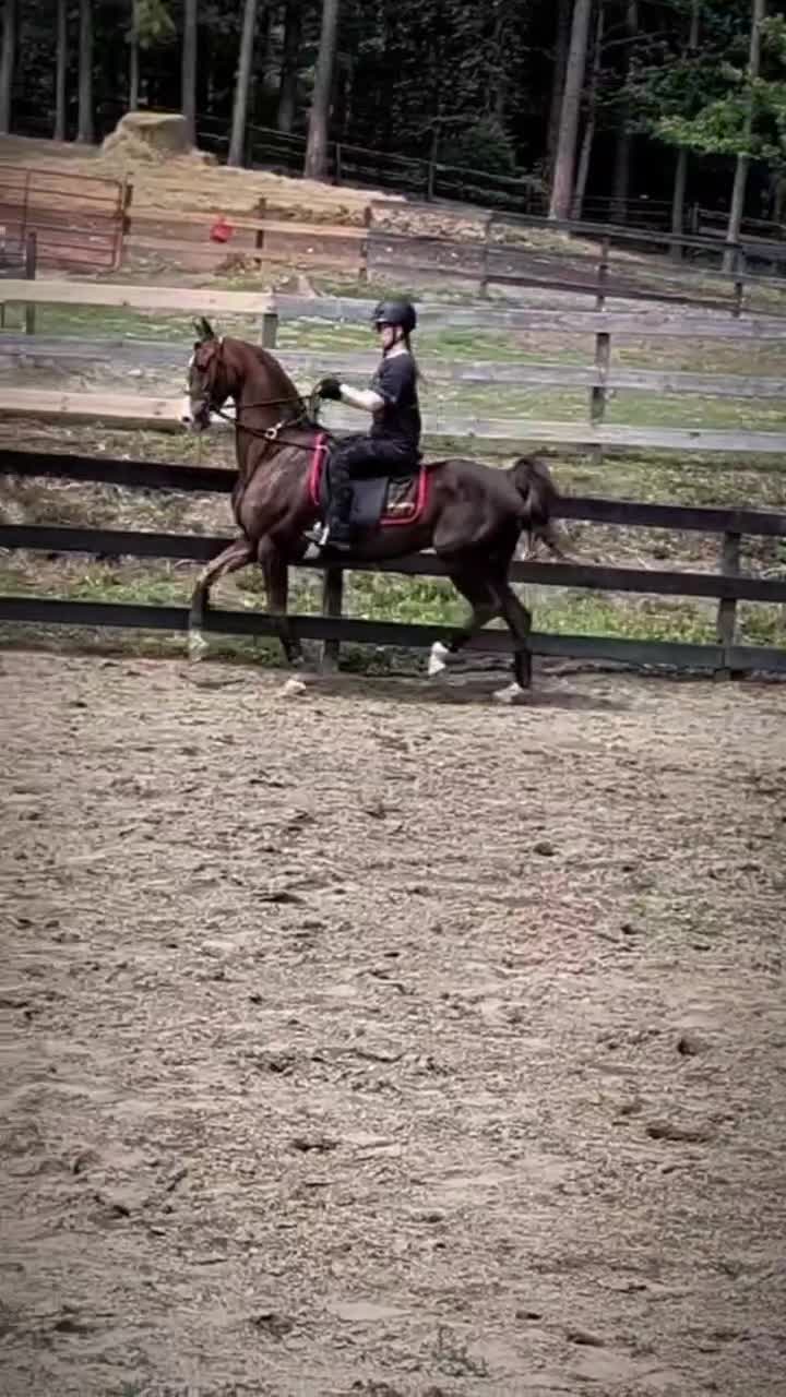 @saddleseat_4life