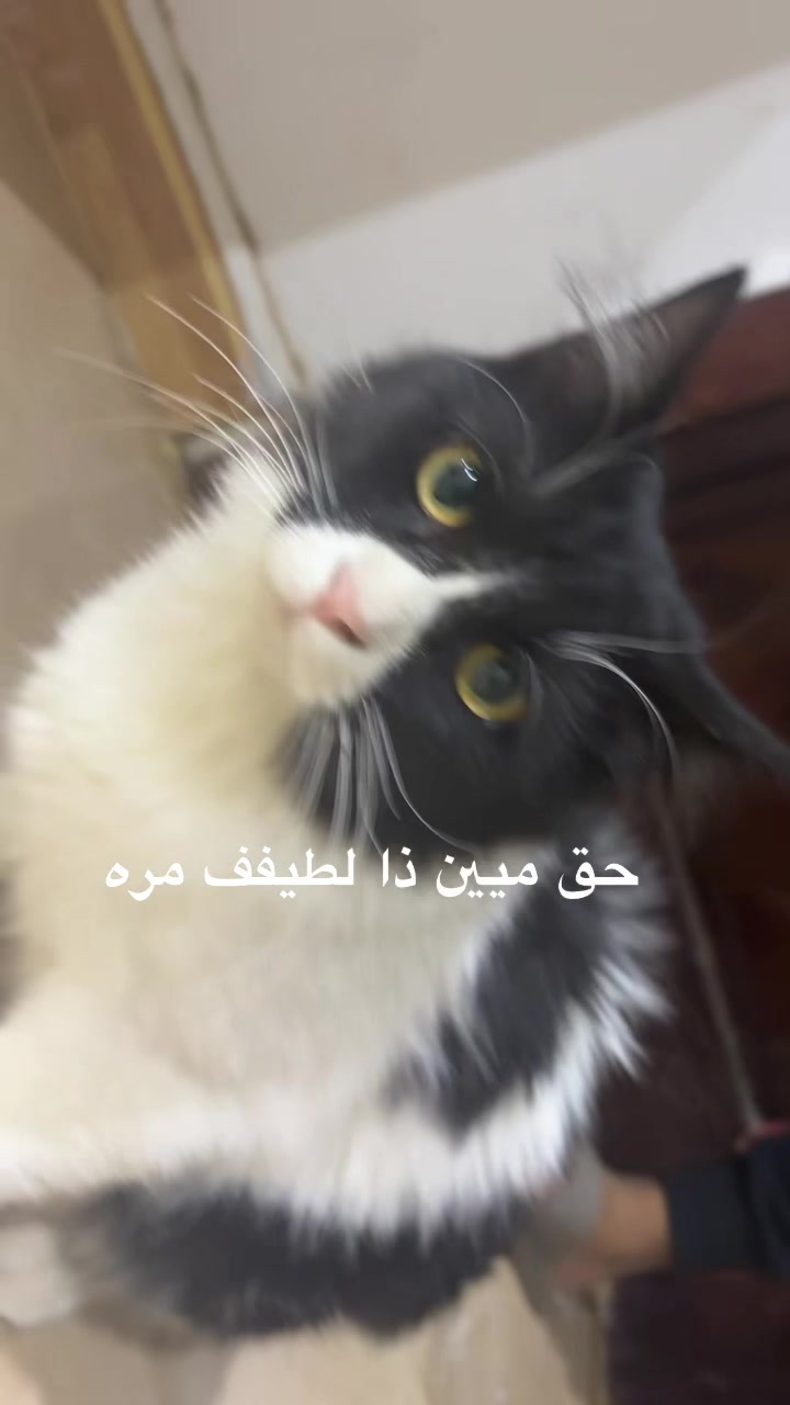 @JK