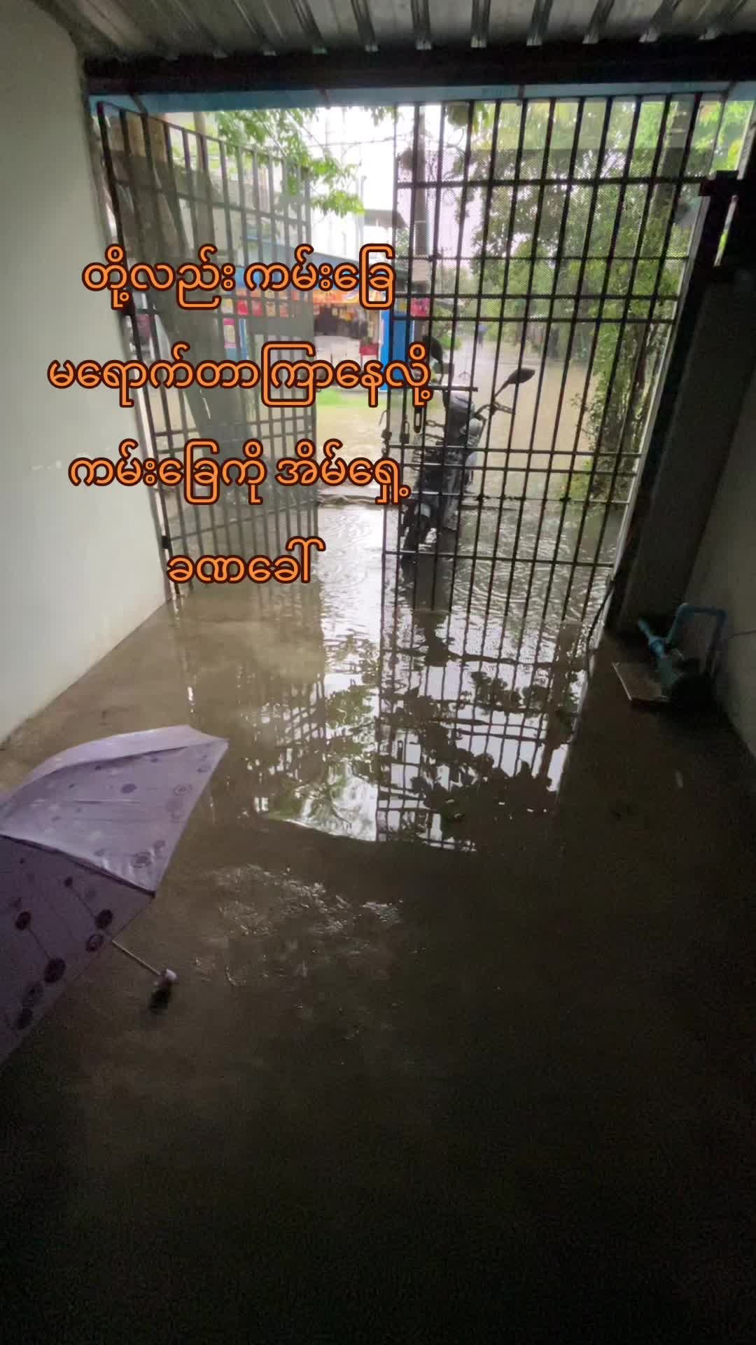 @@🦭