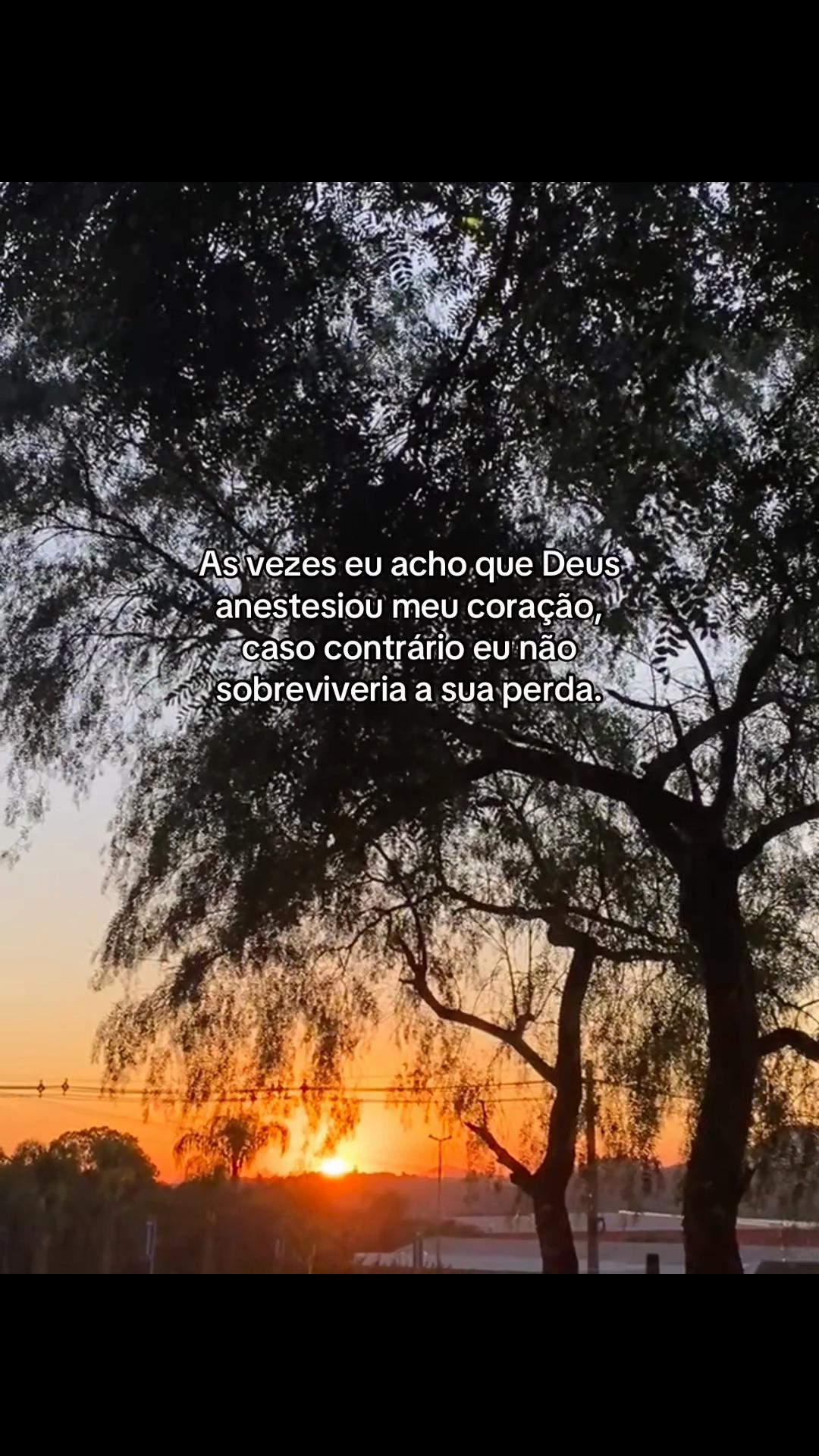 @Paloma🇦🇹