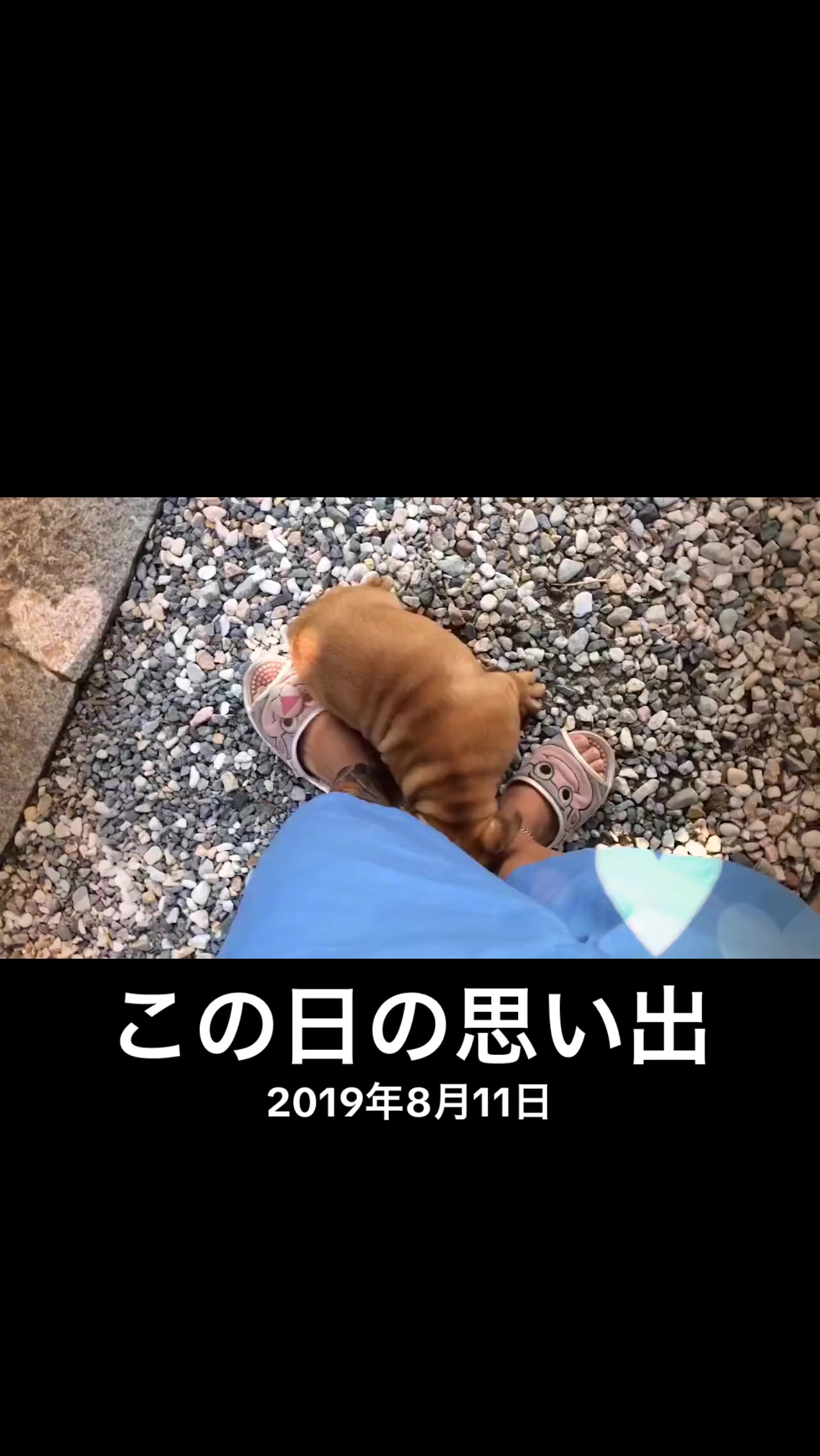 @タク乃MiX