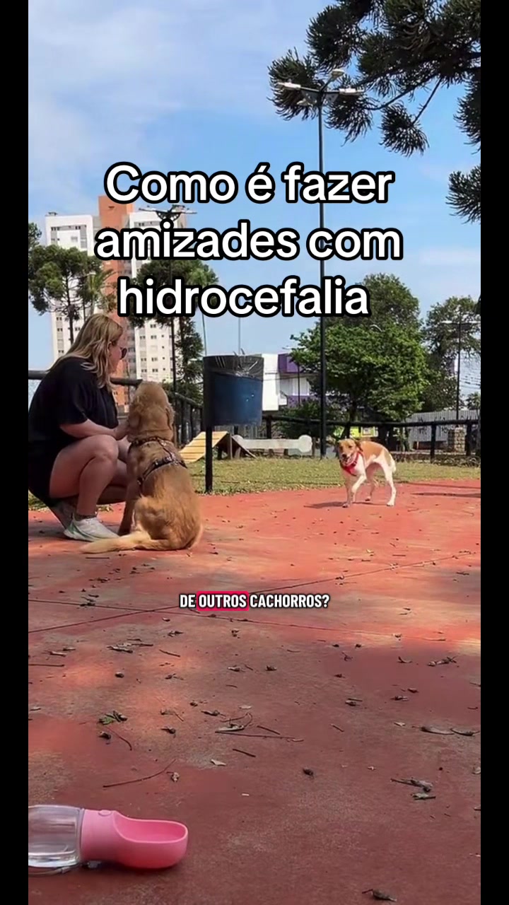 @Docinho, a golden especial.