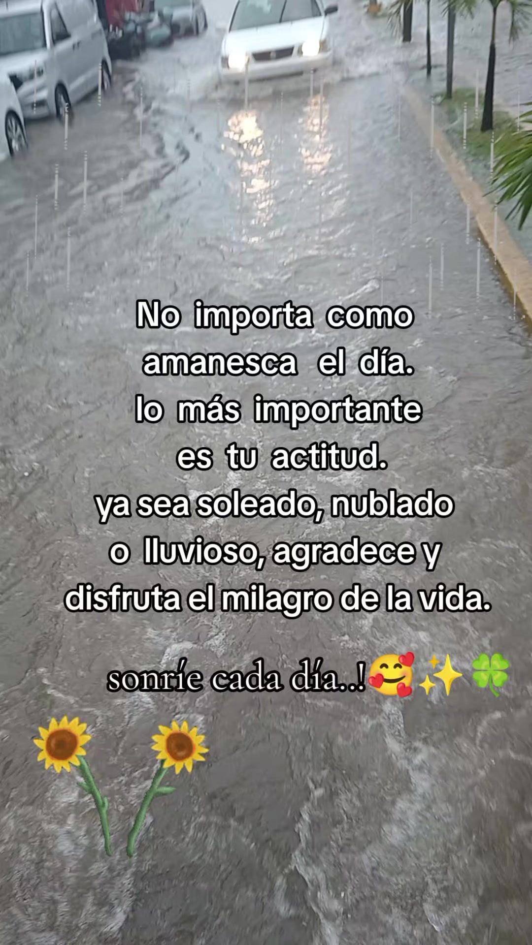 @🍁🦋🍀MJPS🖤🫀⚡️