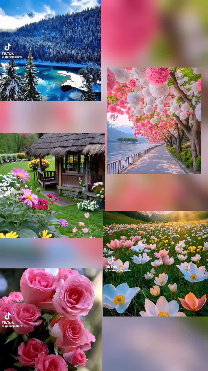 @Cemen Syhyyewa