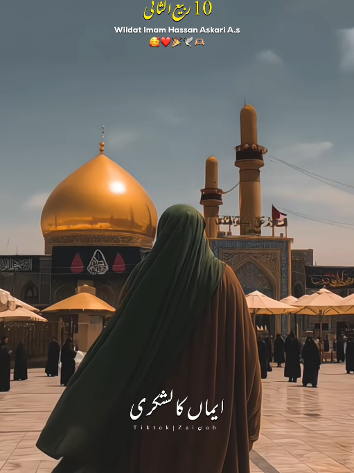 @𝐙𝐀𝐈ن𝐀𝐛ރ