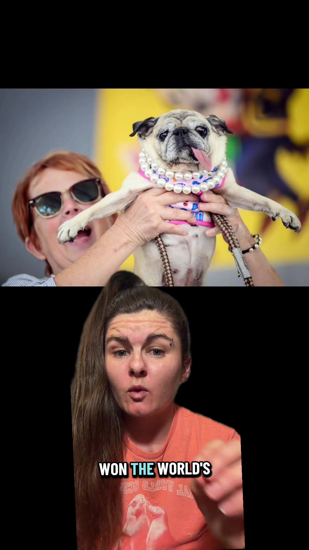 @Jess Shark🐾DOG PACK🐾