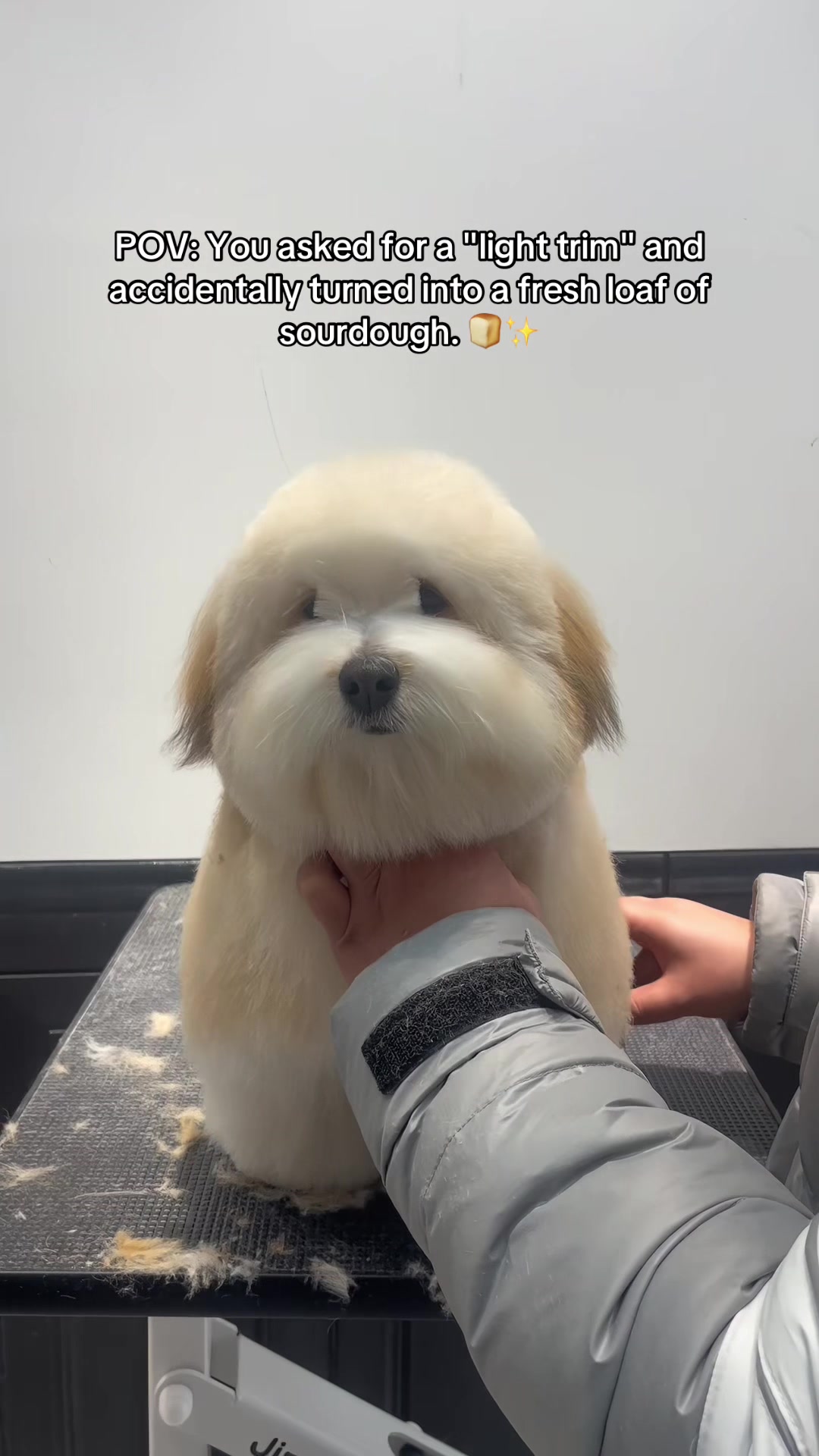 @Cotton & Cloud