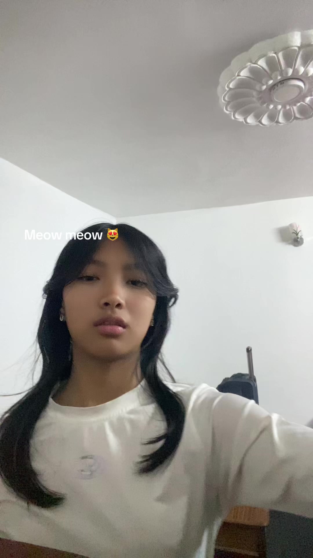 @sherpa0422