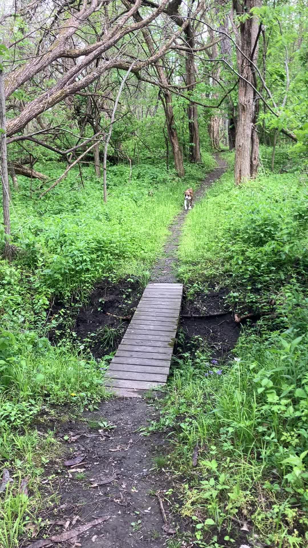 @Hikingwithstanley