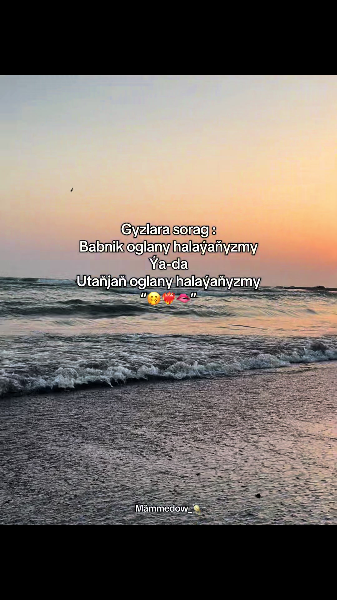 @Mämmedow_🪐