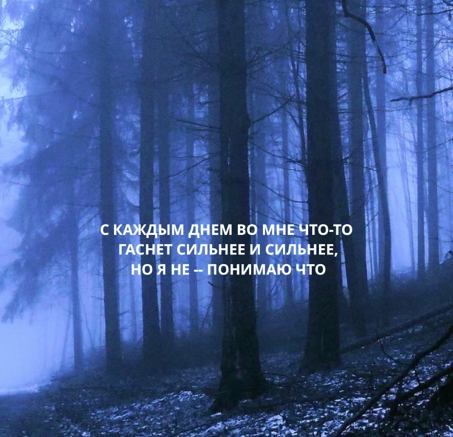 @TНОRFINN'🌗