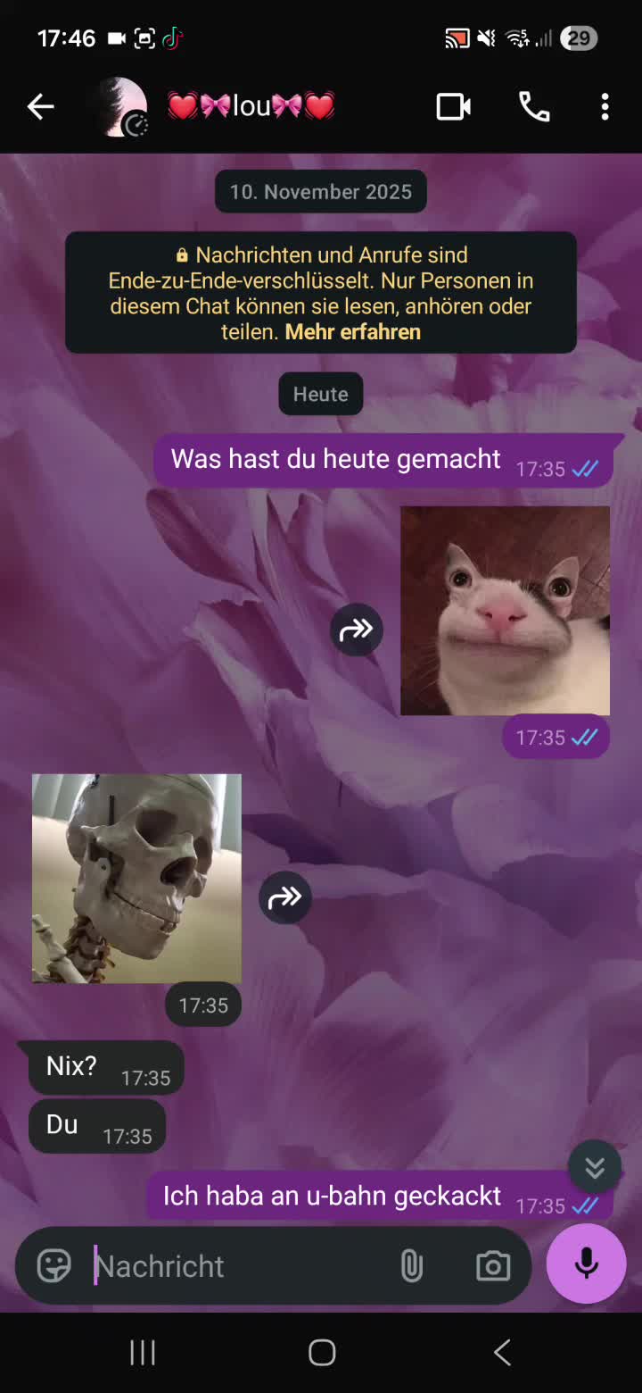 @Mäusen