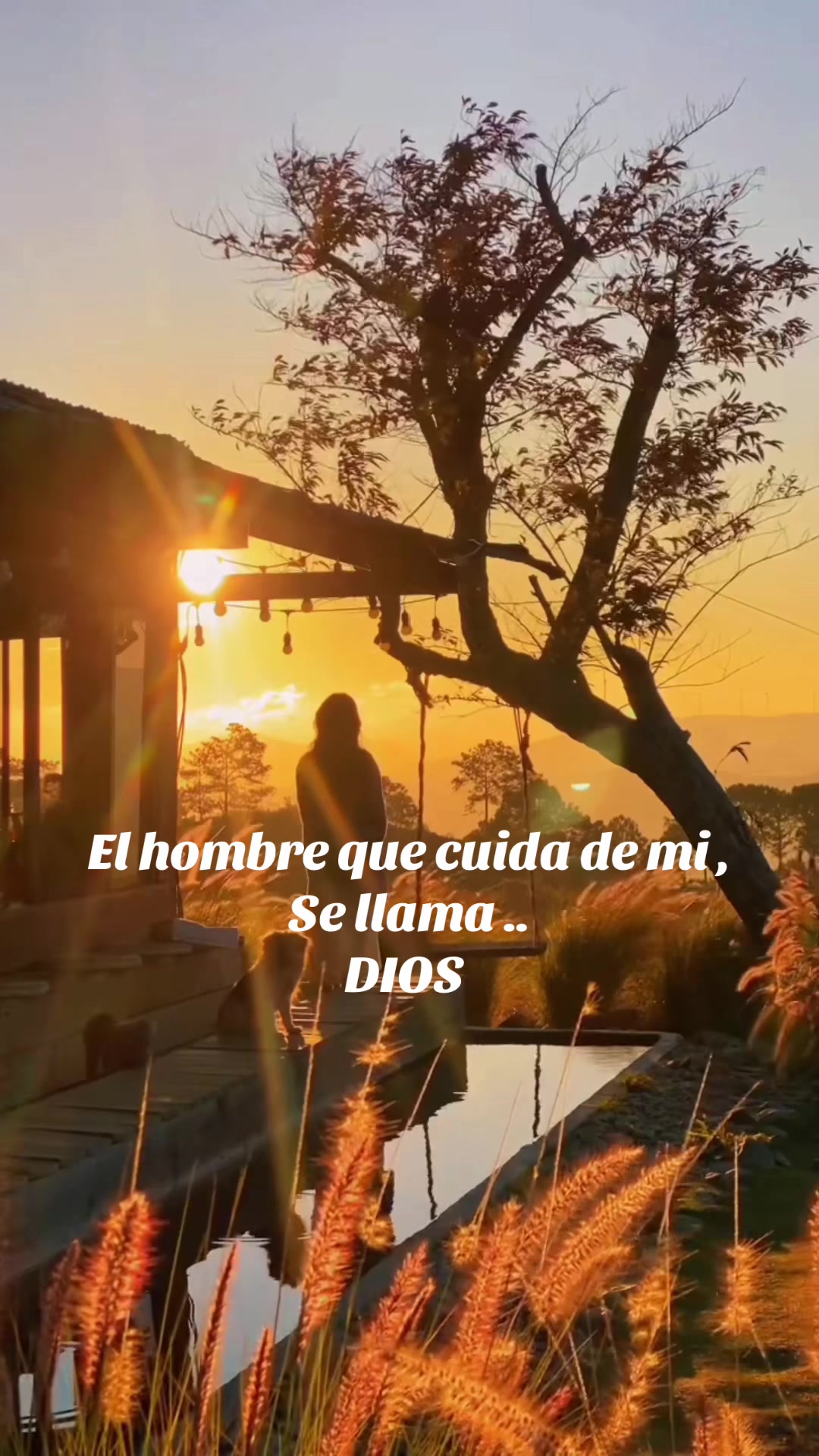 @sofi