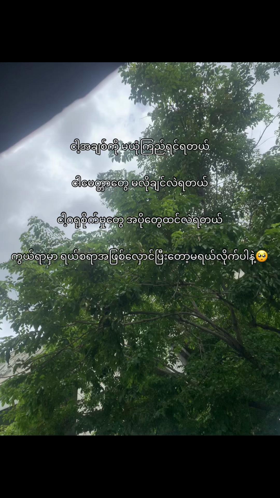 @MG PAING