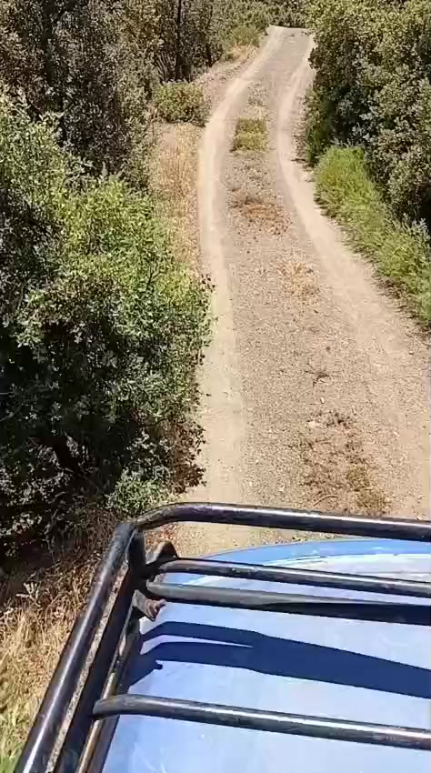 @ام الاء@
