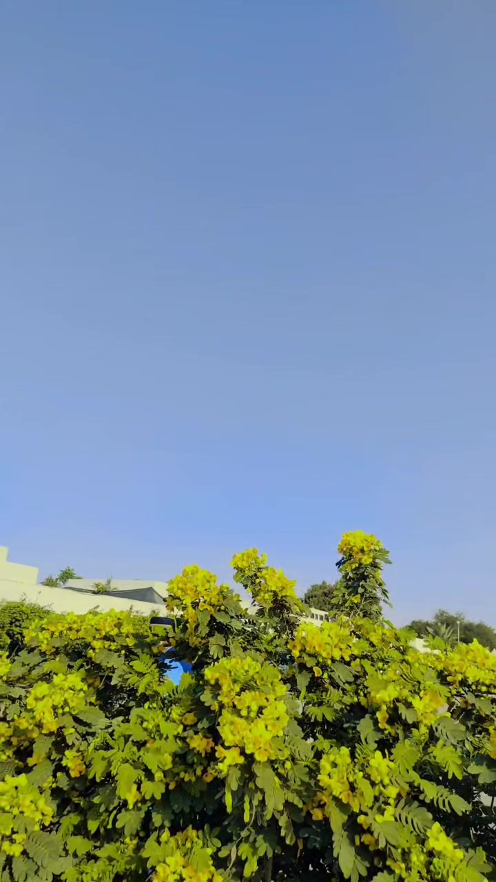 @🇸🇦مدثد جوئیہ چنوں آ لہ 🇵🇰