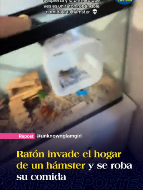 @La-Lista Deportes