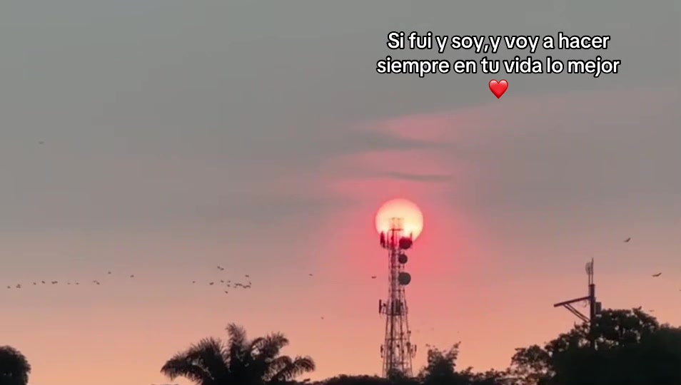 @Yure🍓