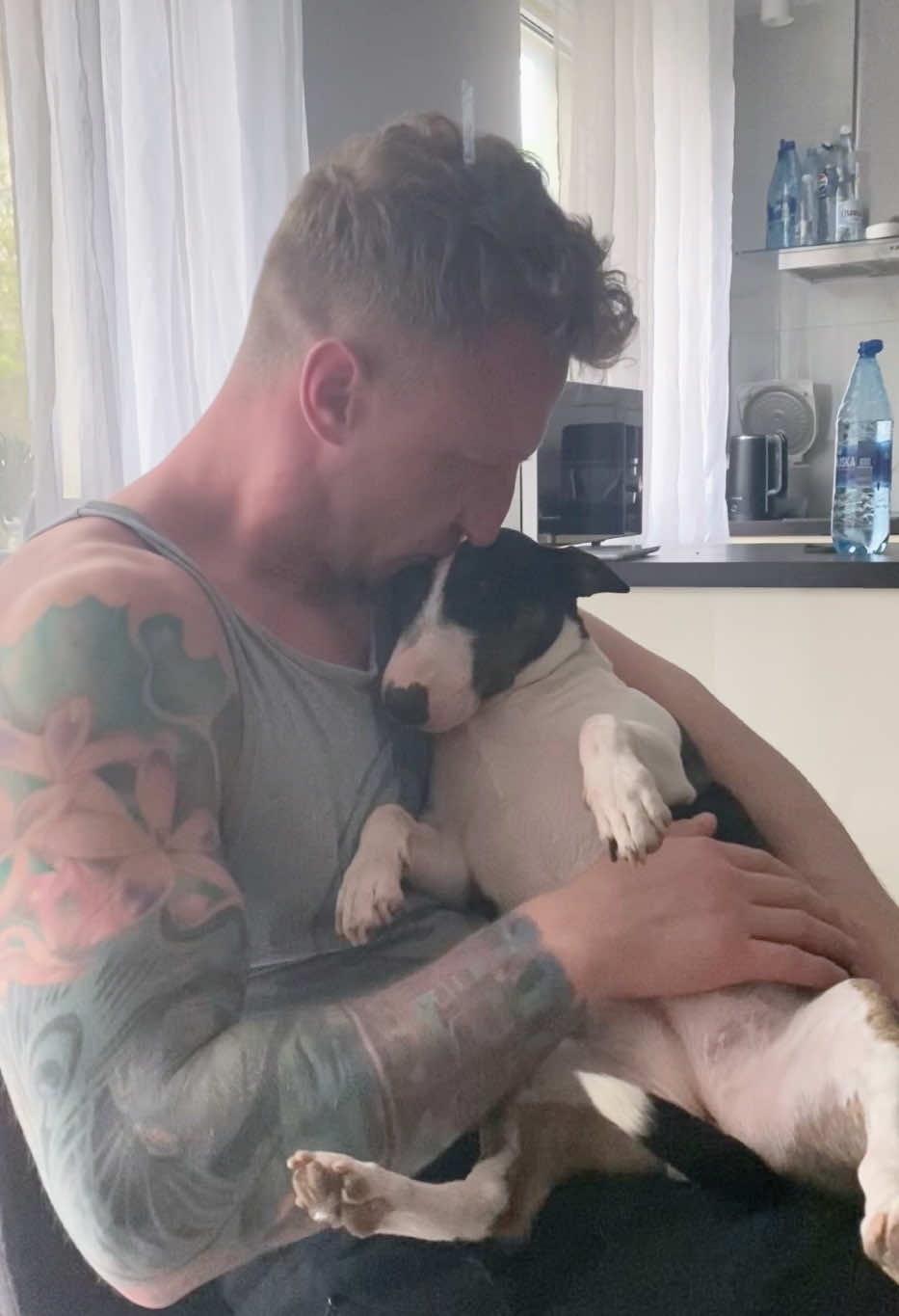 @Terra_Viva_minibullterrier