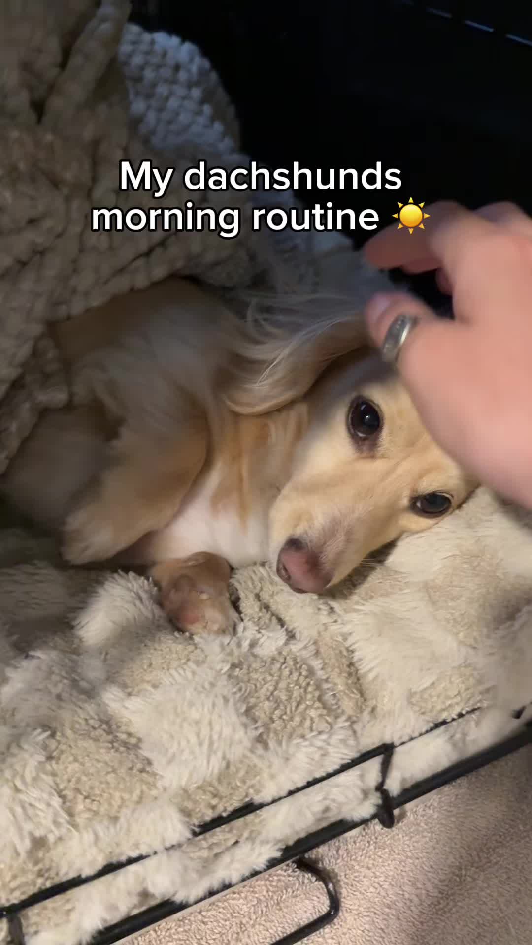 @Billiebeantheween
