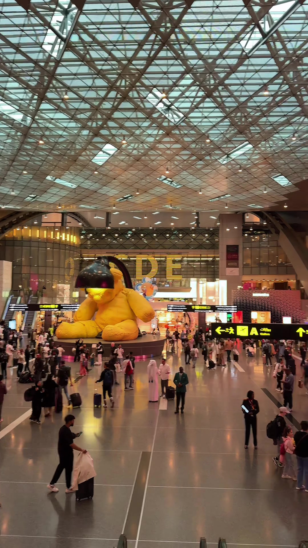 @Discover with san