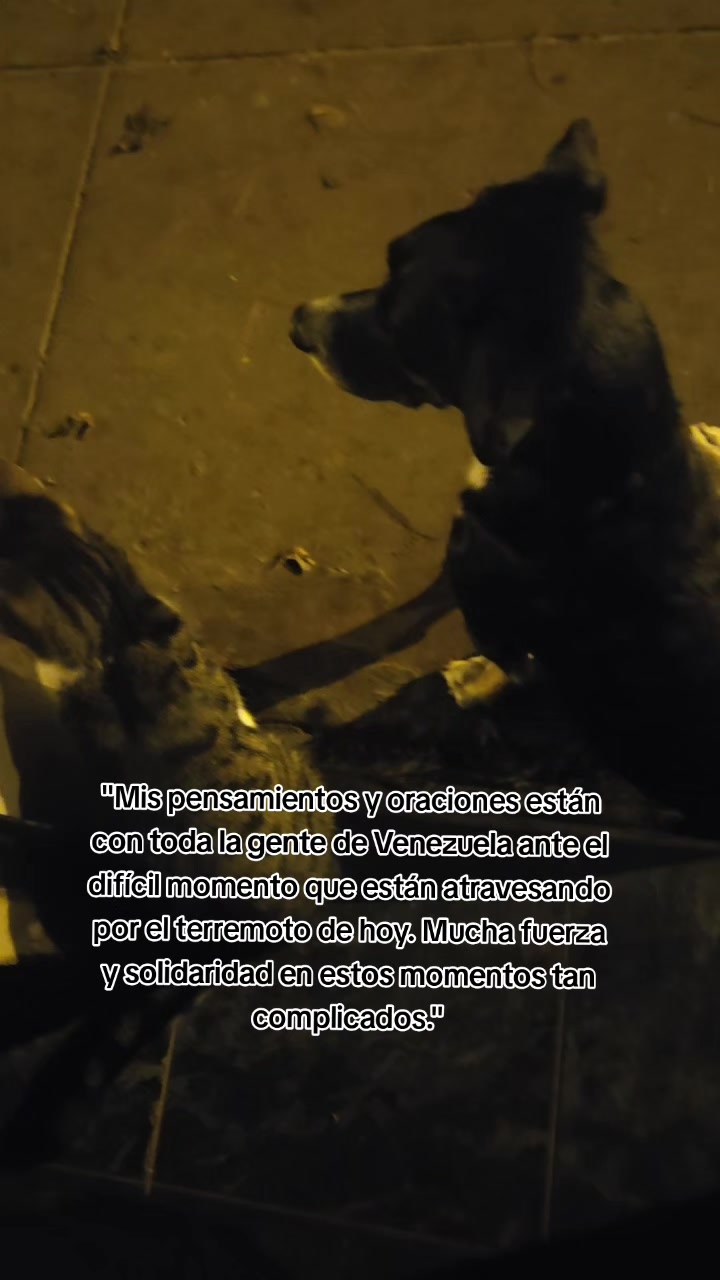 @Thor y Linda 🐾🐕❤️