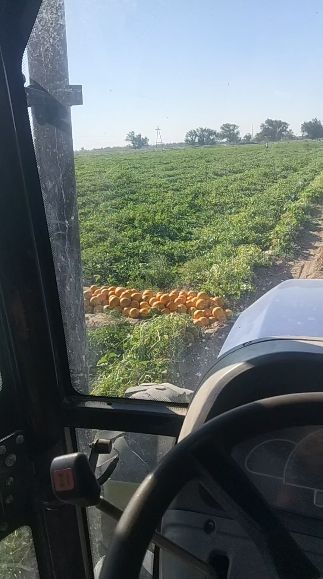 @Рахат
