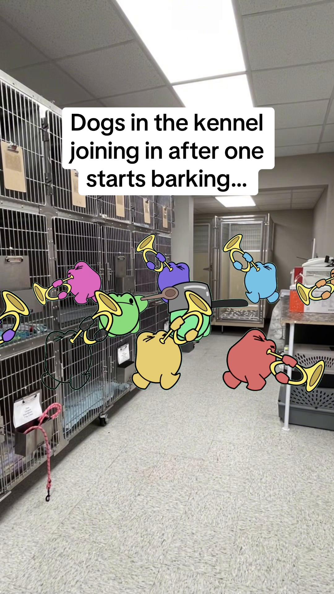 @Snodgrass Vet