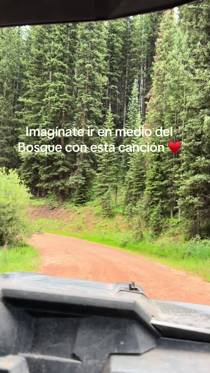 @Ann Ortiz
