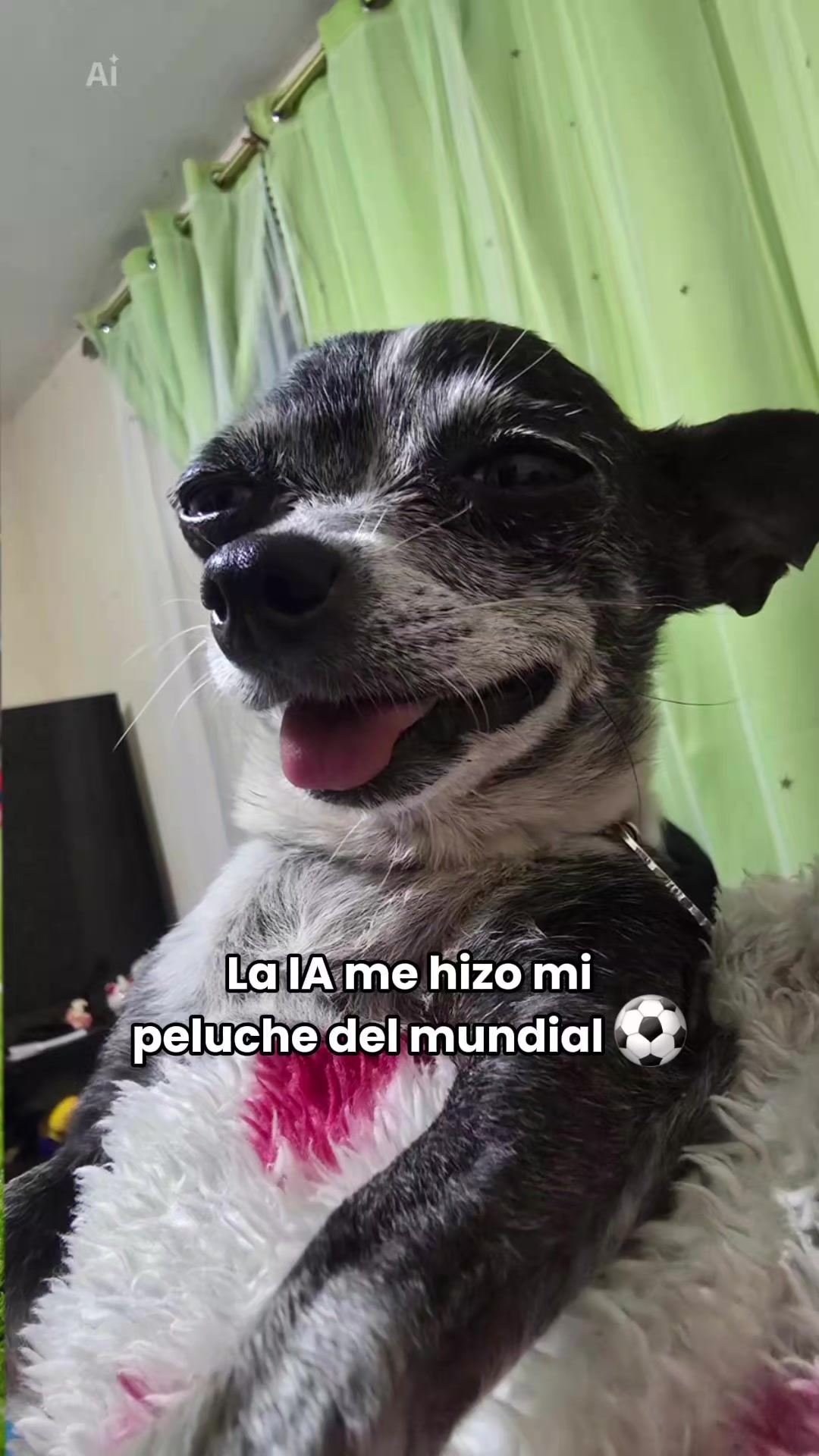@coquis